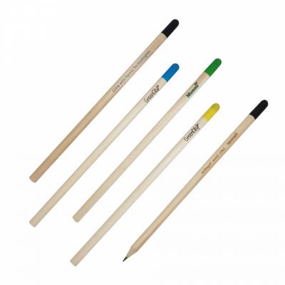 seed pencil 