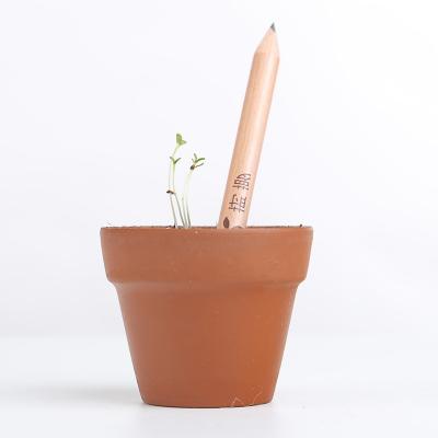seed pencil 